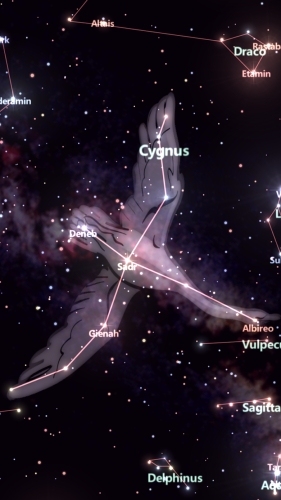 Star Tracker - Mobile Sky Map Mod Apk