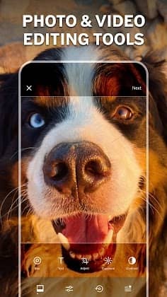 Screenshot of VSCO: Photo & Video Editor Mod Apk